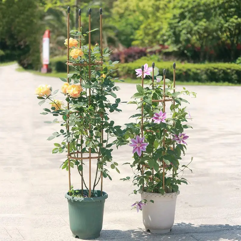 Рисунок 5 - Садовая обелеская решетка для поддержки томатов