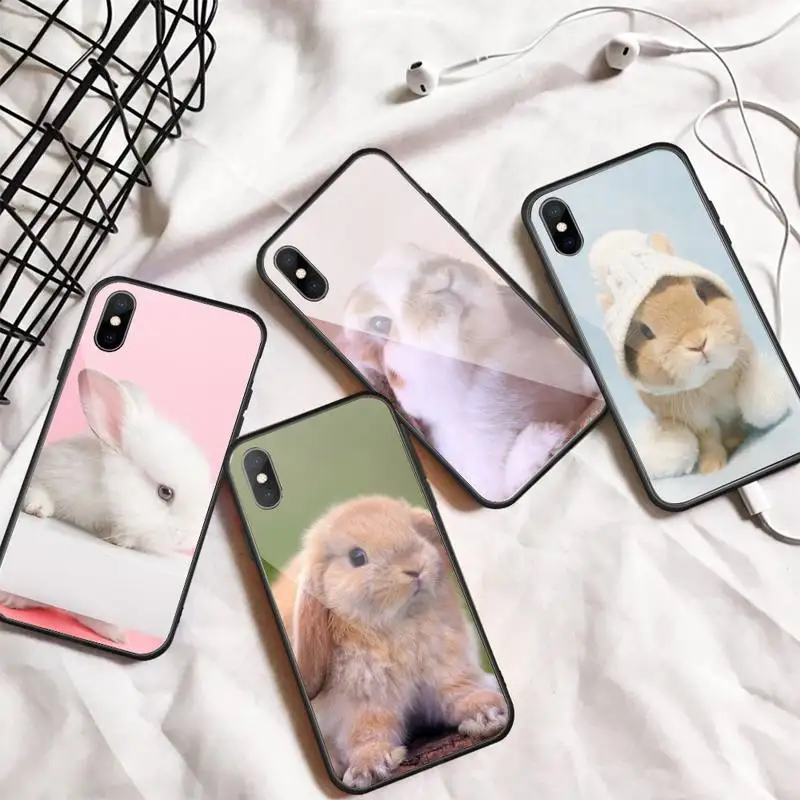 

Cute animal rabbit Phone Case Tempered glass For iphone 6 7 8 plus X XS XR 11 12 13 PRO MAX mini