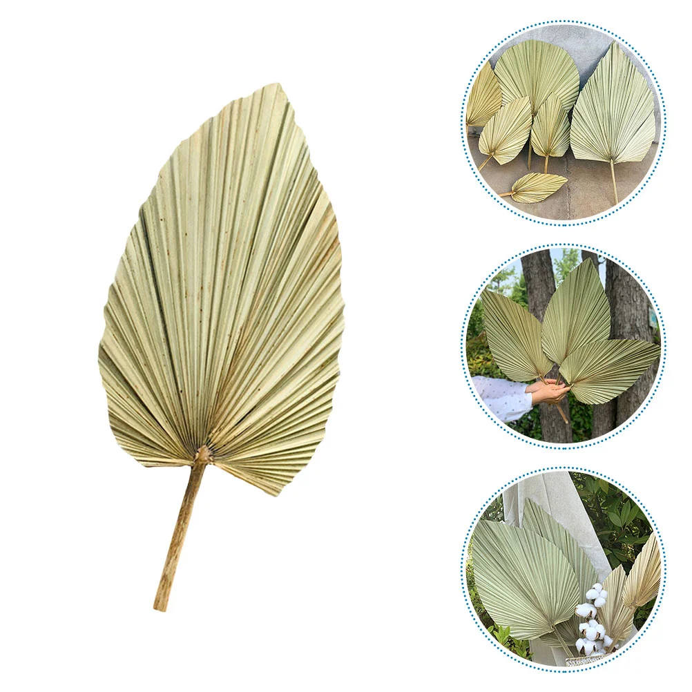 

Palm Dried Leaves Decor Leaf Fan Dry Tropical Wedding Fronds Preserved Palms Palmetto Fake Artificial Natural Hand Green