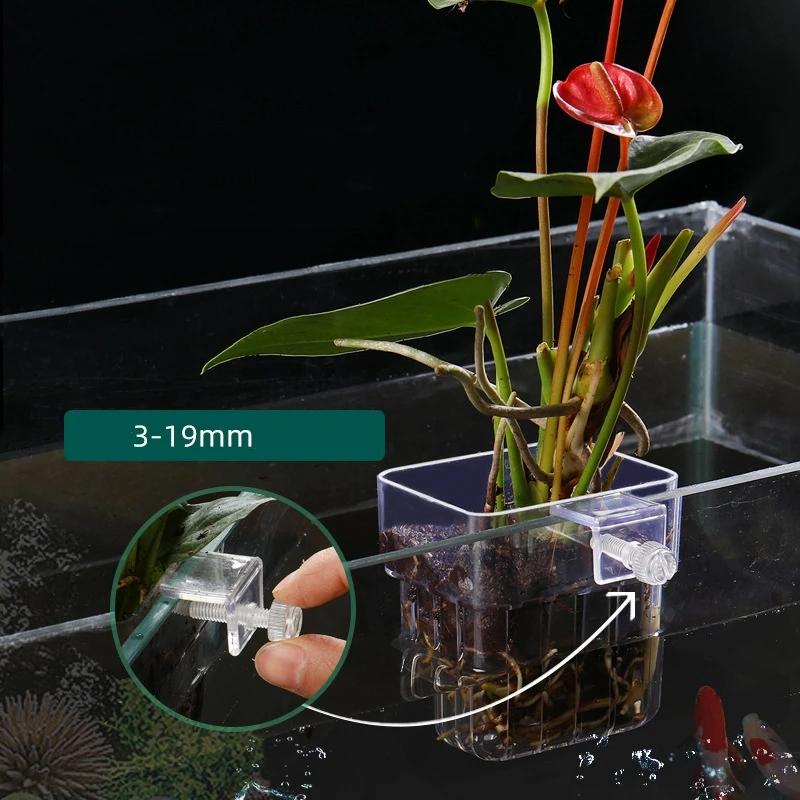Рыбный резервуар стакан растений прозрачные подставки для гидрокультуры