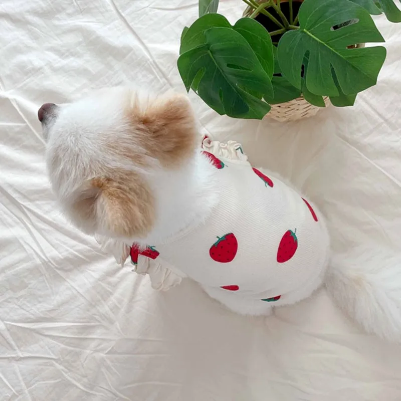 Летняя жилетка для собак с принтом клубники одежда тонкая дышащая трикотажная