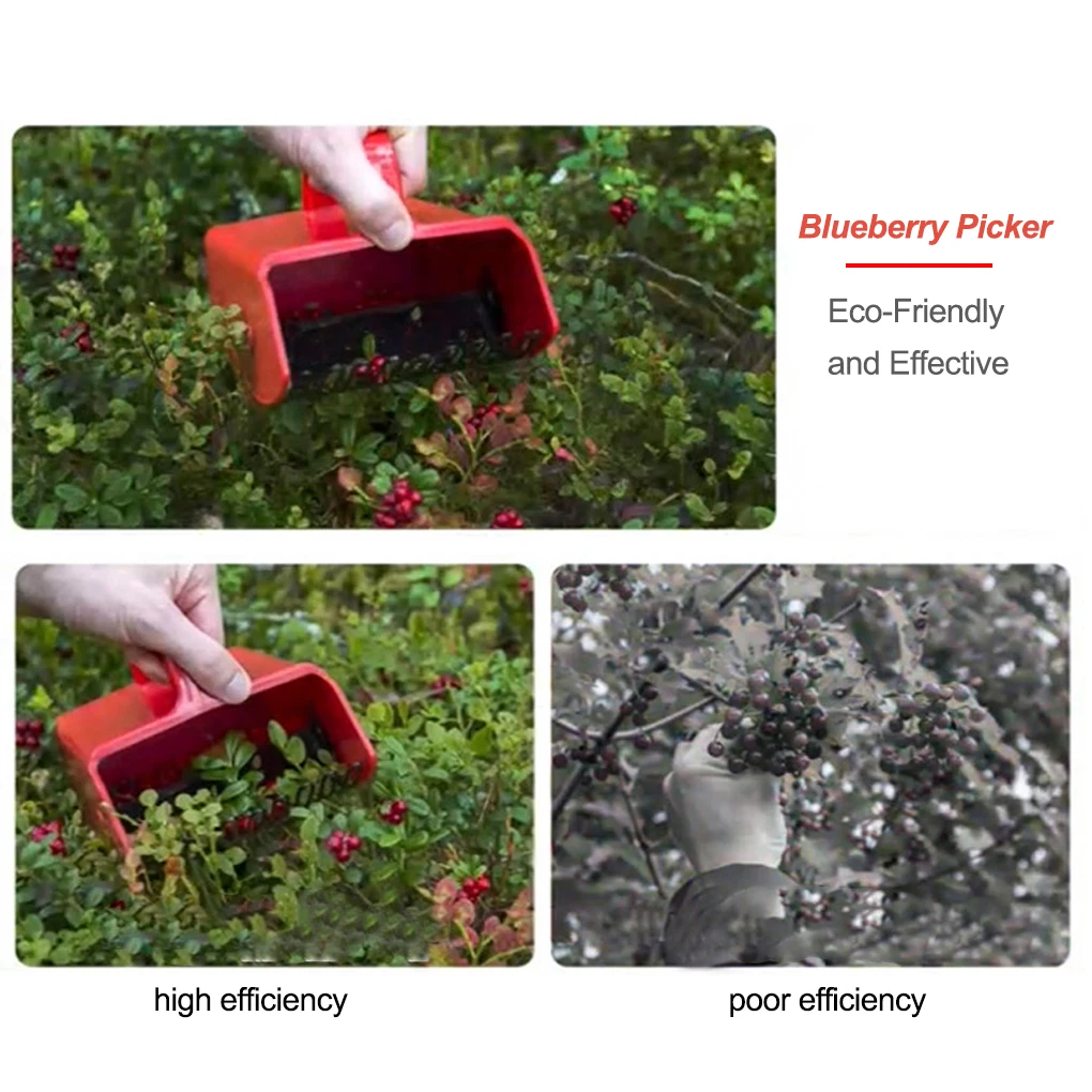 

Blueberry Picker Convenient Indoor Picking Tool Comfort-grip Labor-saving Fruit Harvester Home Greenhouse Farm Yards