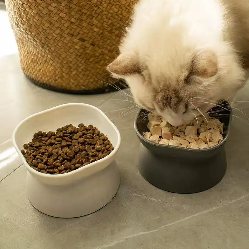 

Cat Dog Bowl 10 Degrees Safeguard Neck Modern Pet Bowl Non-Slip Dogs Food Container Puppy Cats Feeder Water Bowl Cat Accessories