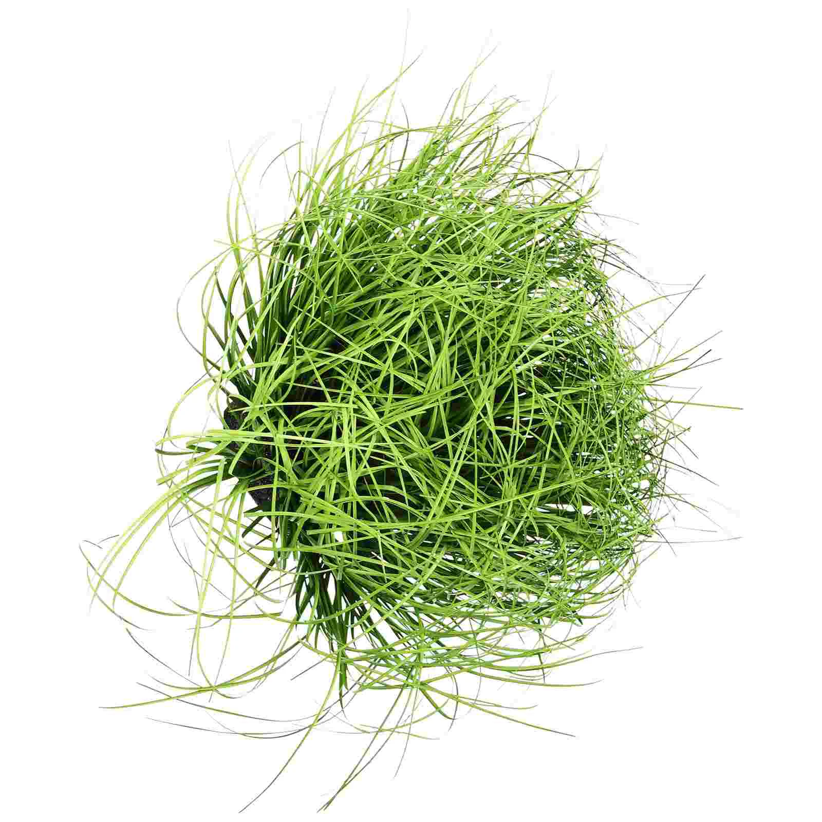 

Riely Green Static Grass Applicator Miniature Sand Play Table Models Foam Miniatures Diorama