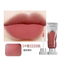 transparent pigment ice cube velvet lip glaze matte lipstick lip gloss pure want to show white not easy to dip the cup