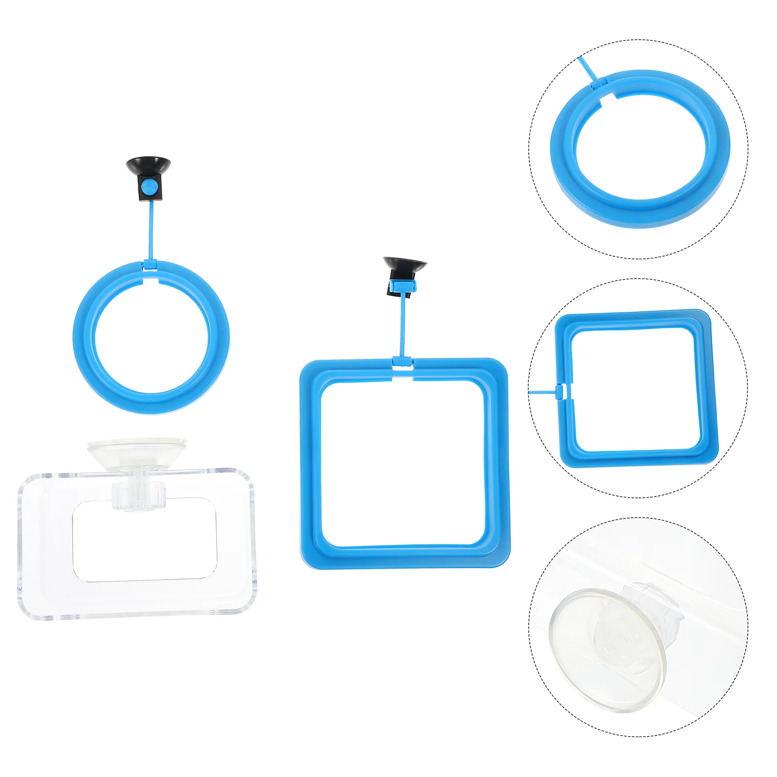 

3pcs Circular Fish Feeder Suction Cup Type Fish Feeding Circle for Aquarium