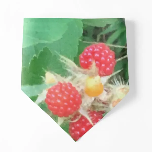 

Ampersand Plural Pride Dog Bandanas Pet Holiday Party Accessories Collar Supplies Print Towel Kerchief Puppy Costume Scarf Cat