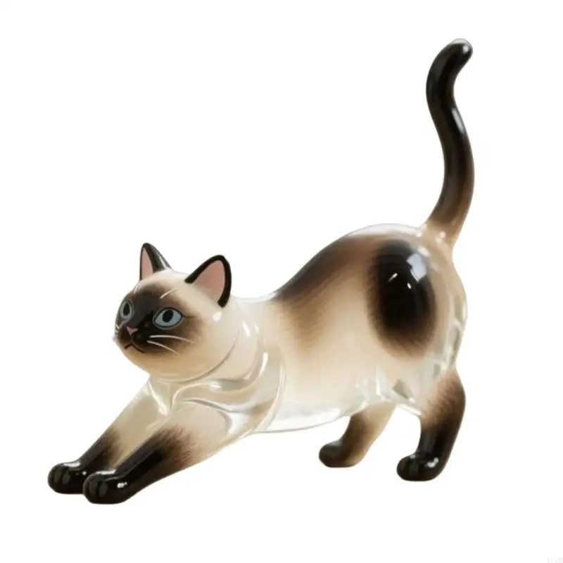 

2025 Новая креативная кошка для волос на фонарях для настольных навеселя для витрины для любителей подарок Пластиковый контейнер