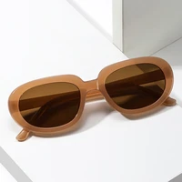 fashion small frames oval sun glasses 2022 women men thick frame sunglasses luxury brand designer vintage eyewear female shade