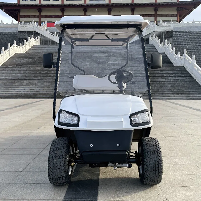 Cart 12 Inch Wheels 4 Seats Family Electric Off Road Recreat