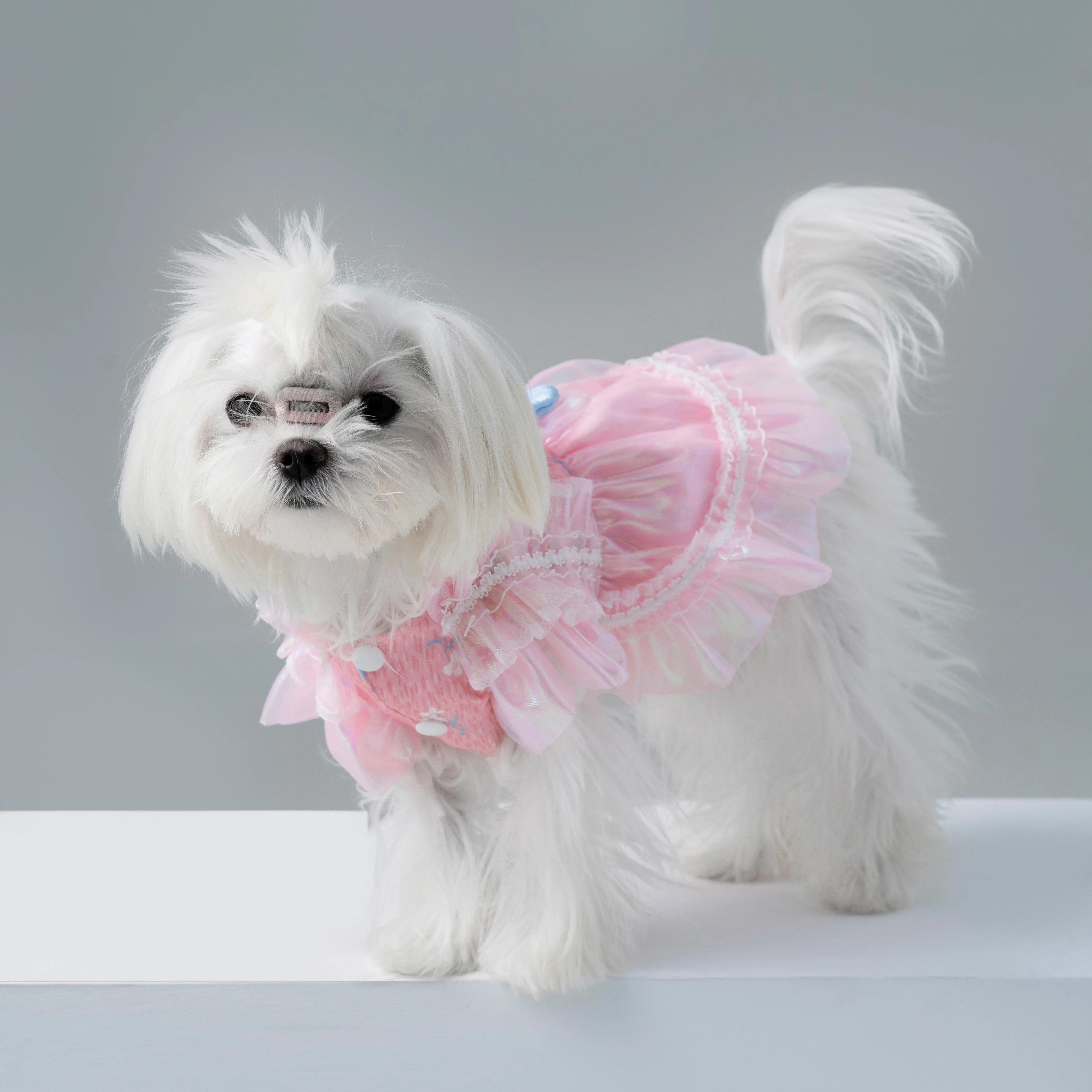 

Dog & Cat Clothes, Cotton Pink Pet Dress with Lace and Bow, For All Seasons, Mesh Skirt for Kitten, Puppy, Teddy, Chihuahua