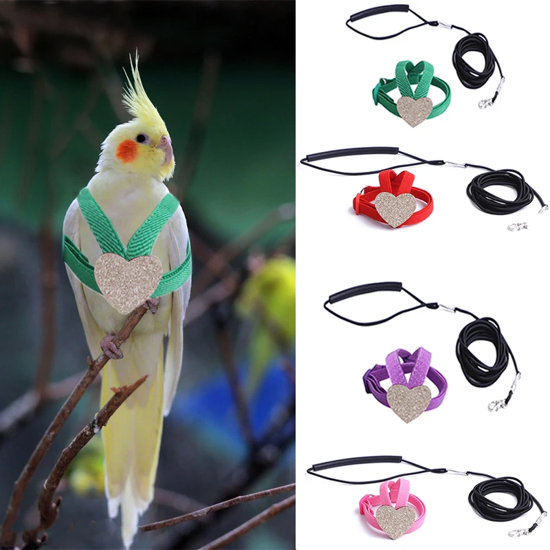 

Bird Training Harness Parrot Bird Harness Leash Outdoor Flying Traction Straps Band Adjustable Anti-Bite Training Rope