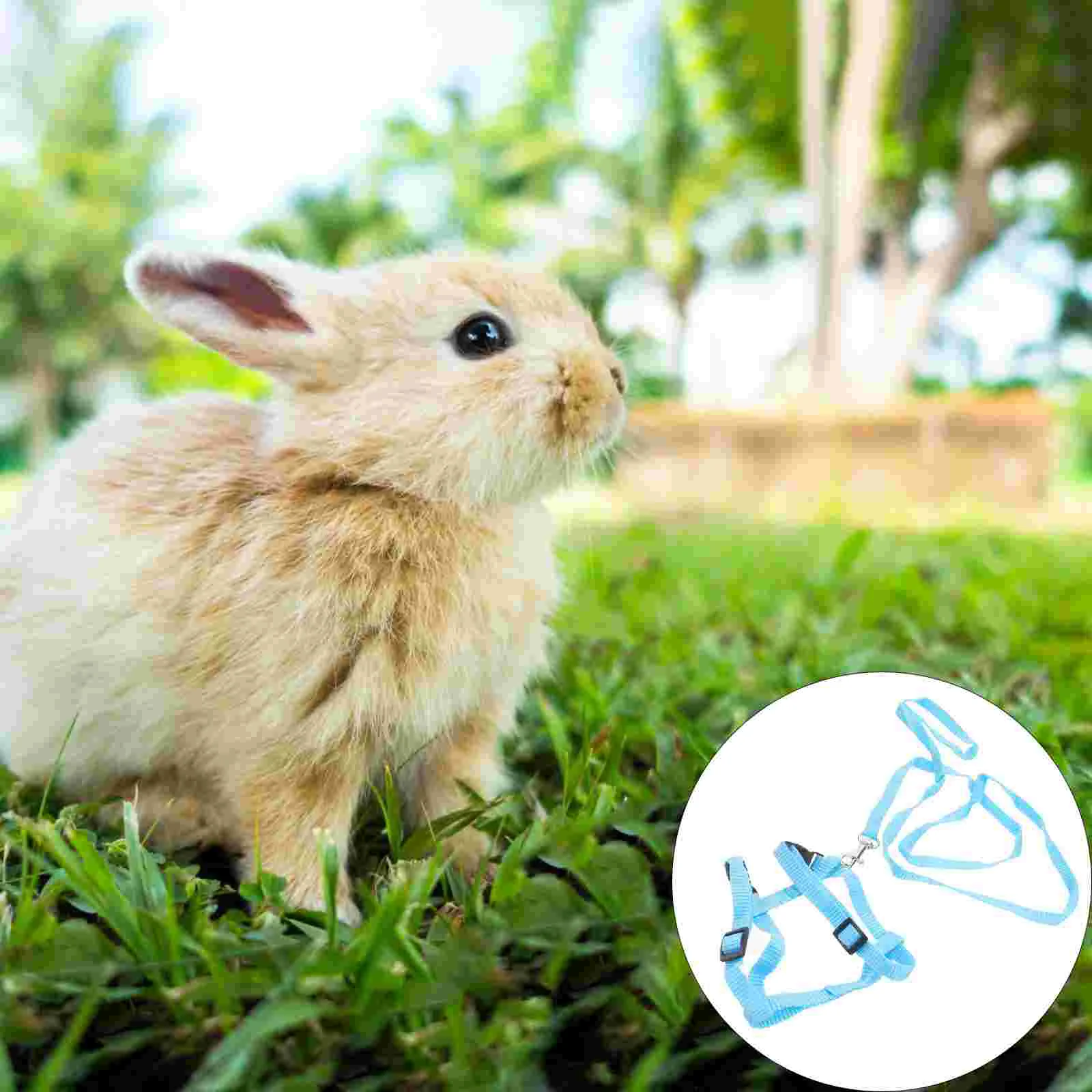 

Rabbit Harness Pet Leash Traction Rope Strap Pulling Bunny Supplies Rabbits Ferret Walking Dog Harnesses Set Guinea Suit Vest