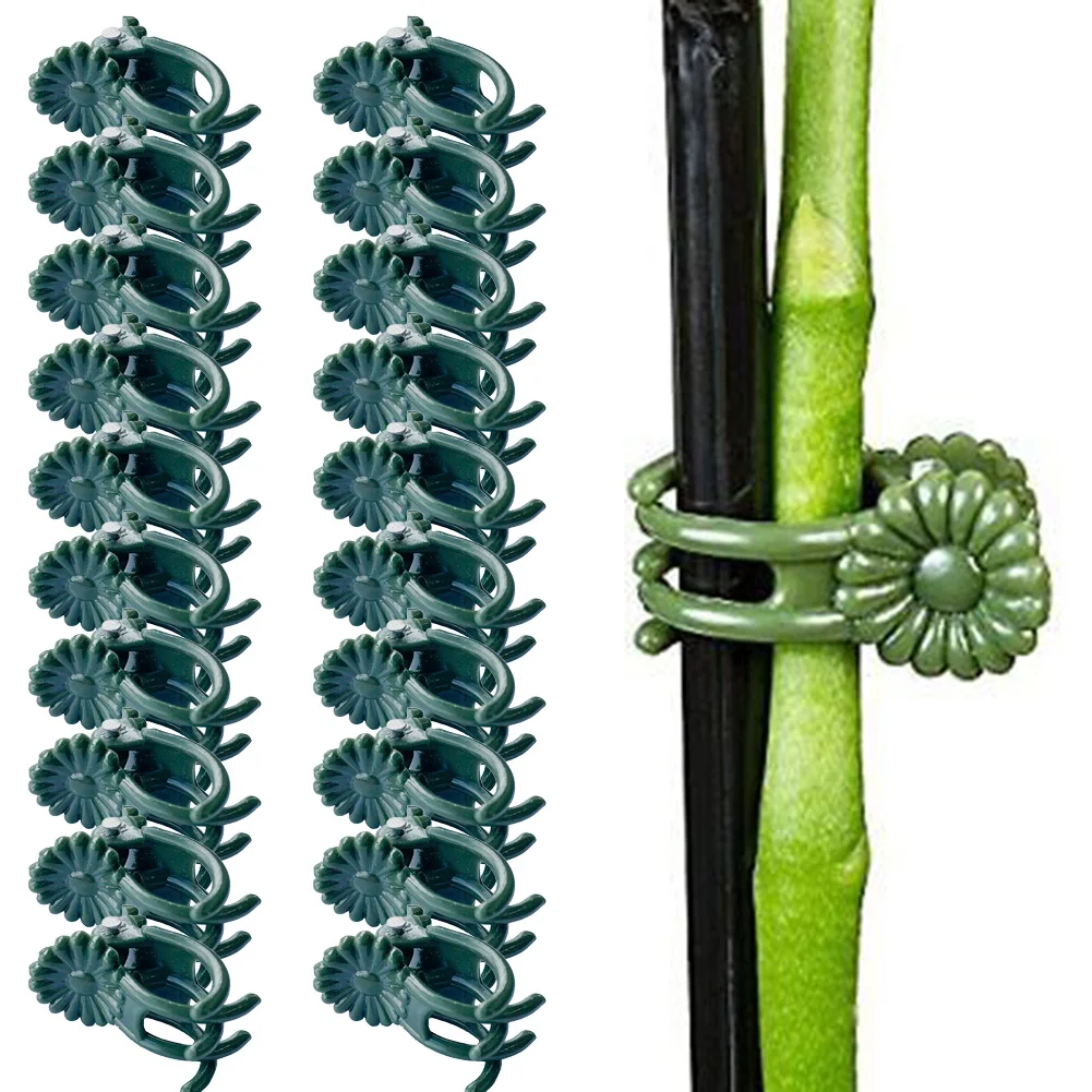 

20pcs Orchid Clips Plant Support Stem Clamps For Vegetable Flower Vine Plant Stem Climbing Fixing Clamping Garden Supplies