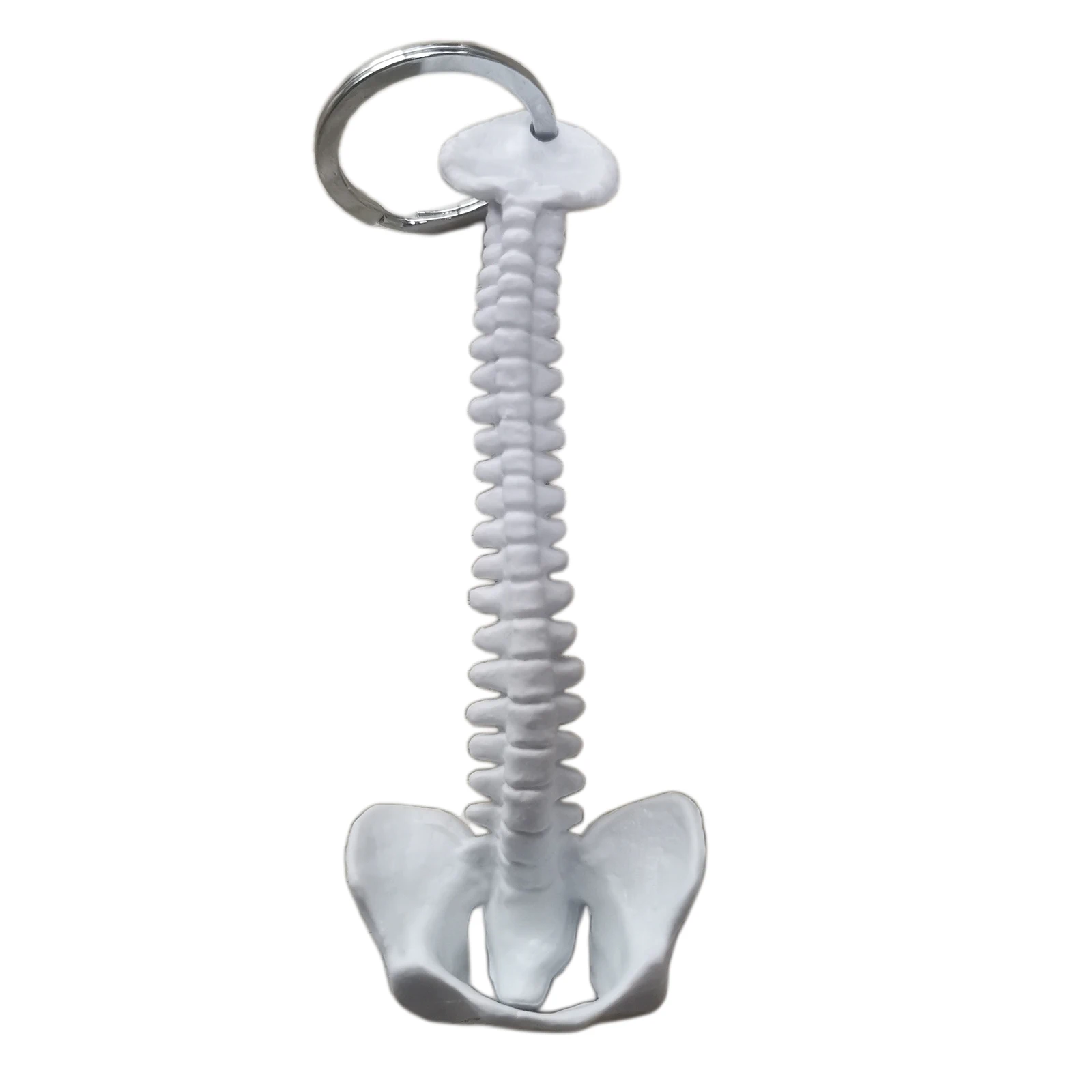 Брелок для позвоночника со скелетом медицинская мини-модель 9 5x4 см кольцо ключей