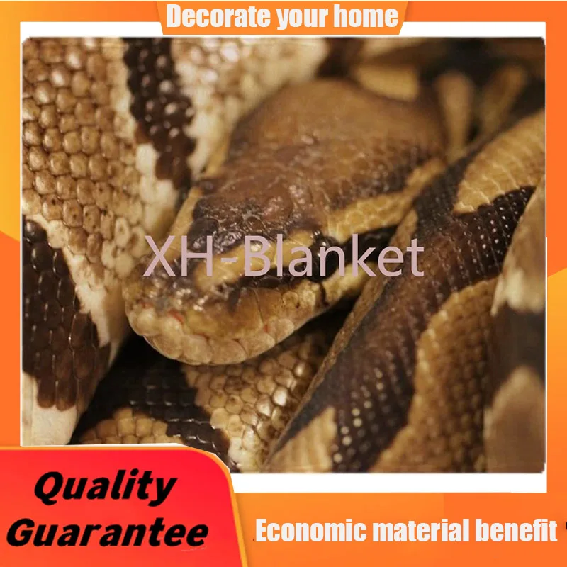 

CafePress Ball Python Throw Blanket Soft Fleece Throw Blanket, 60"x50" Stadium Blanket throw blanket for sofa custom blanket