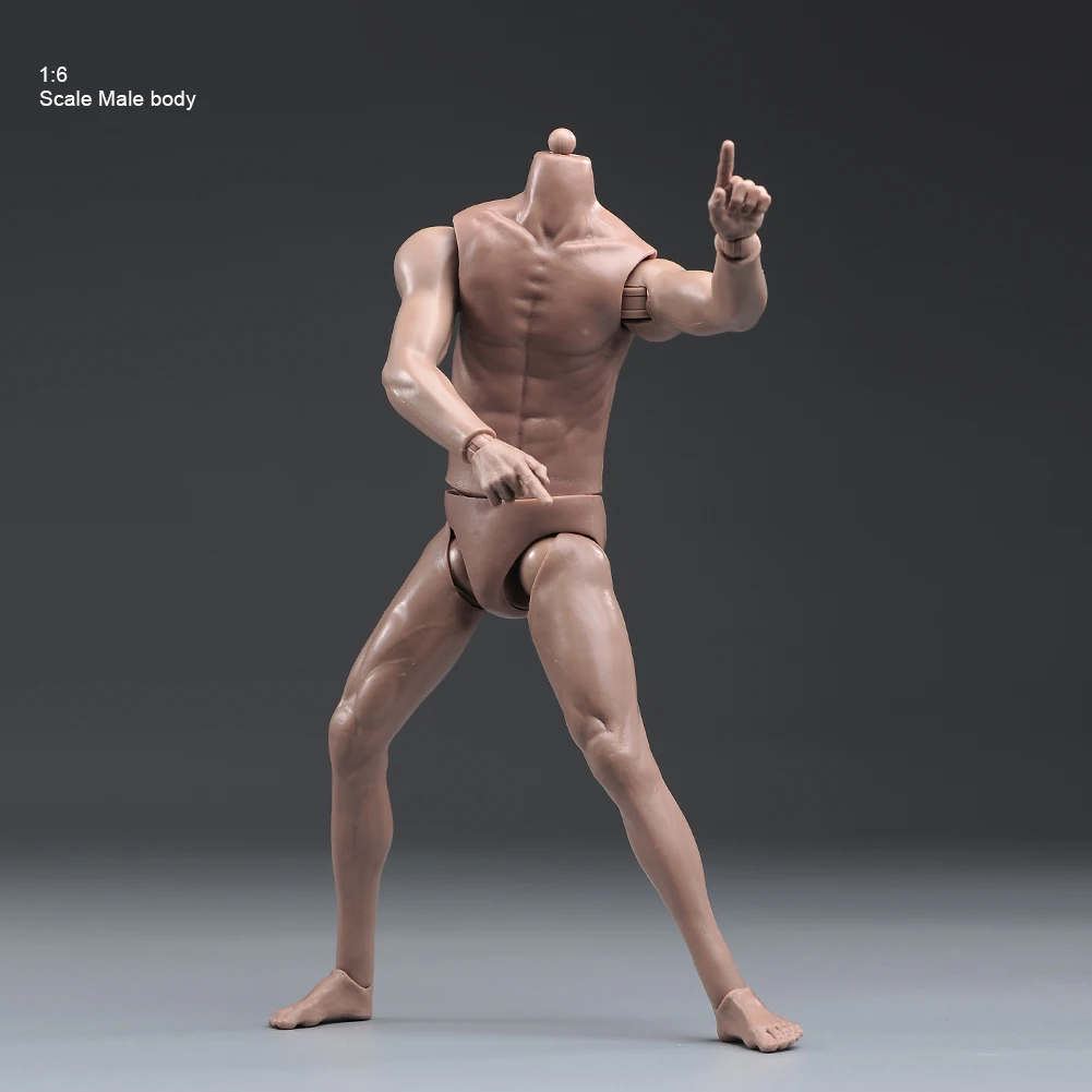 

1/6 Scale Muscle Man 12" Flexible Male Action Figure Body Europe Skin for HT ZY Soldier Model Toy Collectible