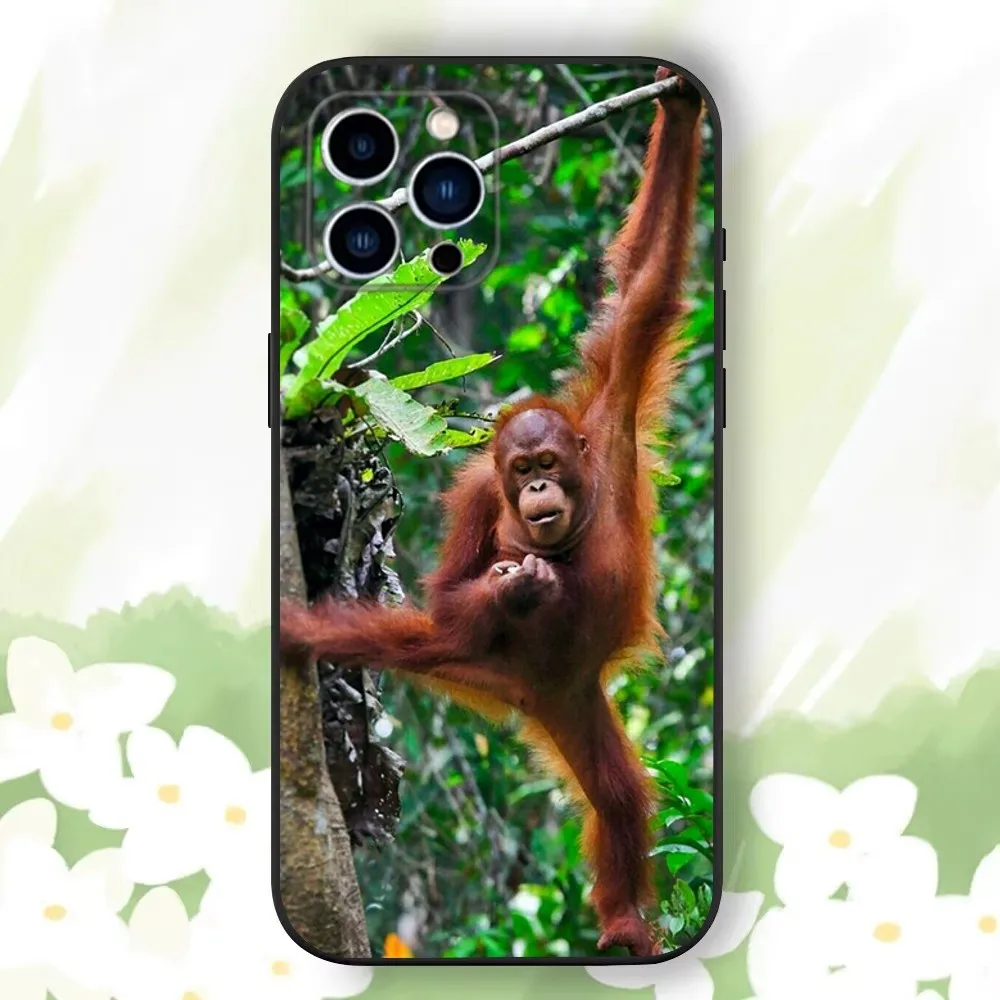 Чехол для телефона Monkey Sipping baboon iPhone 16 15 14 13 12 11 Plus Pro Max XS XR SE Mini 8 7 мягкий силиконовый