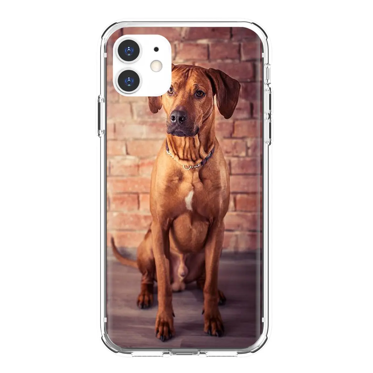 Телефонный корпус с постером Rhodesian-Ridgeback-Dog для Huawei P50 P30 P40 P20 P8 P9 P10 Lite Pro 2016 2017 P Smart Plus 2019.