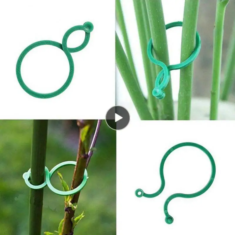 

Plant Wall Climbing Vine Clips Fixed Fastener Tied Garden Vine Strapping Clips Wall Self-adhesive Buckle Hook Hot Plant Climbing