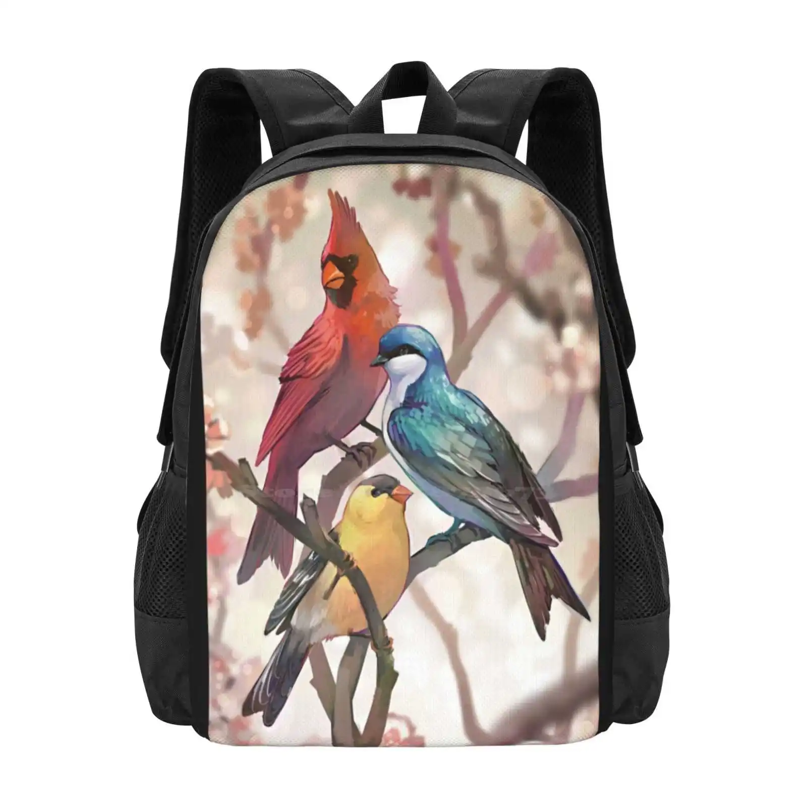 

Birds School Bags For Teenage Girls Laptop Travel Bags Birds Animal Nature Colors