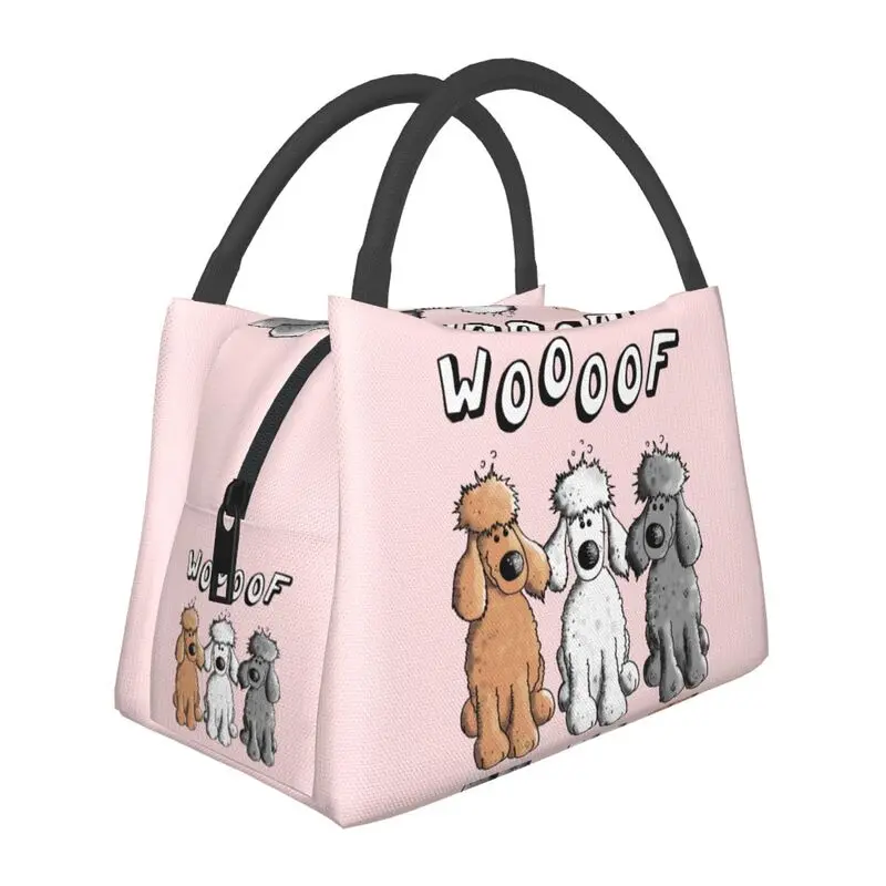 

Hand-held insulated refrigerated simple style lunch bag is convenient attractive, cute, suitable for four family friends picnics
