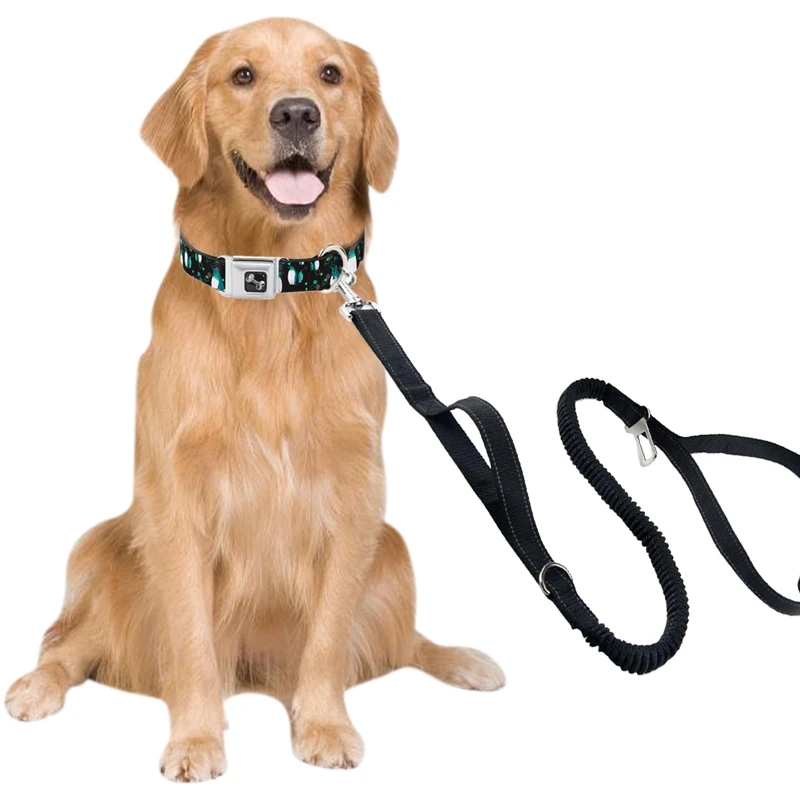 

2 Handle Dog Lead Pet Multi-purpose Elastic Elastic Belt Leash Pet Multi-function Retractable Leash for Dogs Rope Dog Supplies
