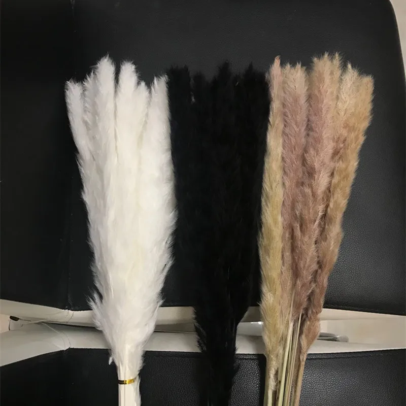 

15Pcs Per Bunch Reed Grass Natural Dried Flowers Immortality Bouquet Black, Pink, White, Primary Colors Small Pampas Grass