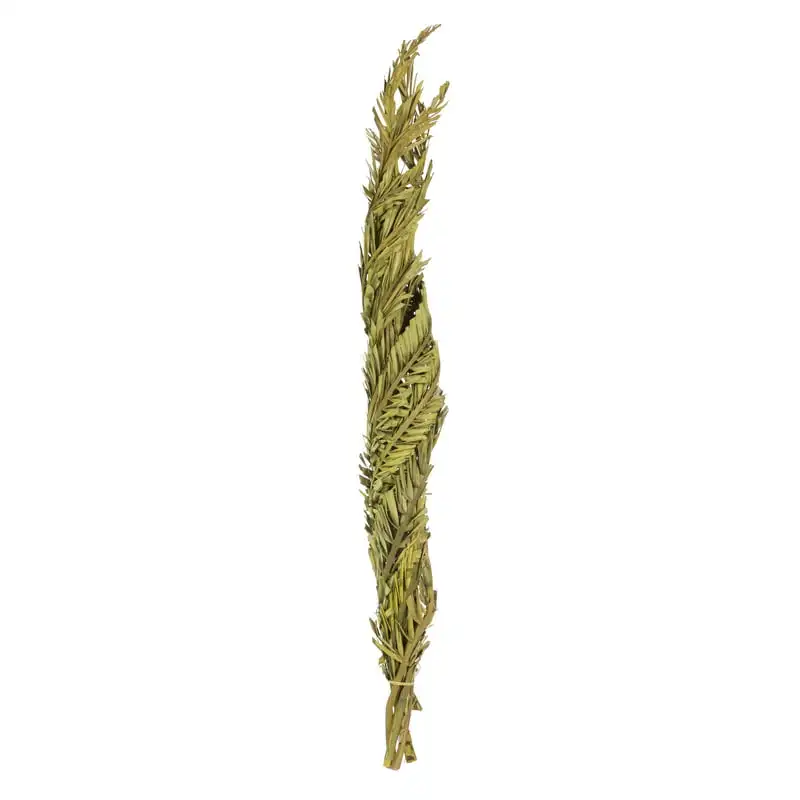

40-48" Basil Coco Palms - Twisted, 6 stems, Dried