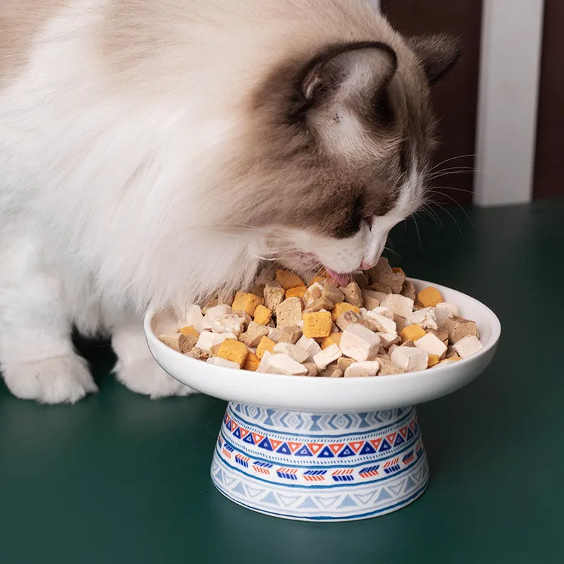 

Керамическая миска для кошек, защита высокой ступни, тарелка для собак, котят, маленький и средний размер, товары для питомцев