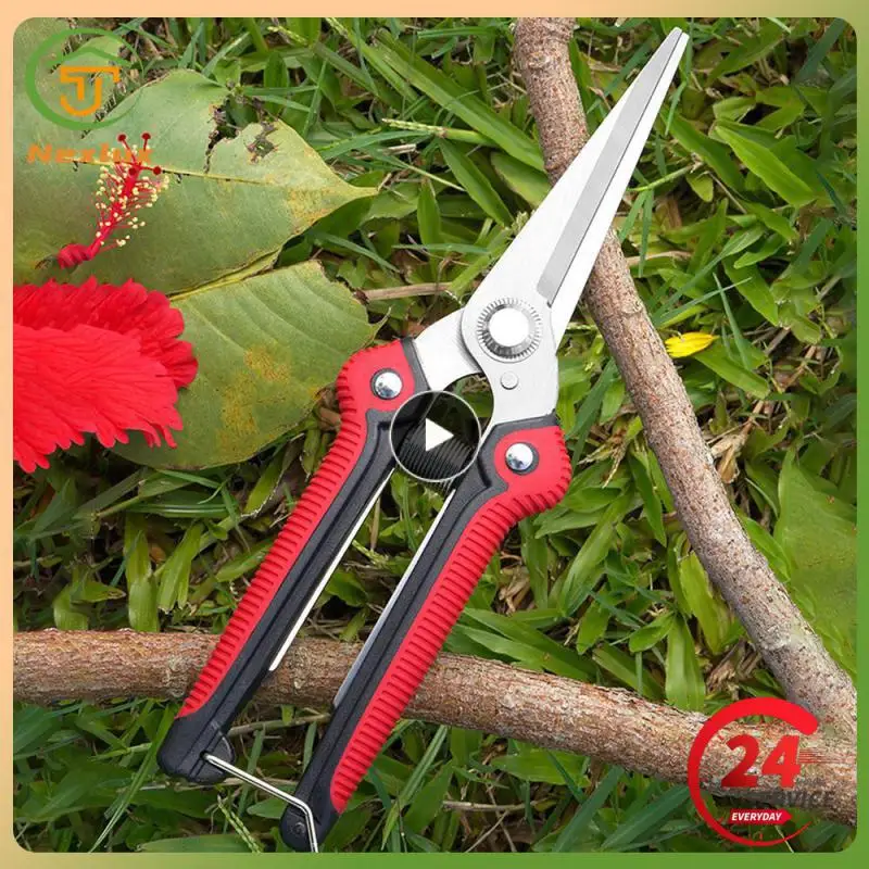 

Tpr Pruning Shears High Carbon Steel Powerful Garden Scissors Gardening Scissors Scissors Garden Tools Red Picking Scissors Tool
