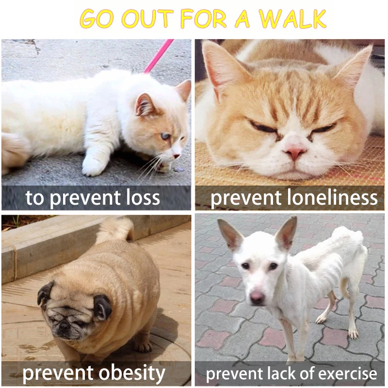 Регулируемый Ошейник-шлейка для кошек и собак дышащий жилет с крыльями ангела