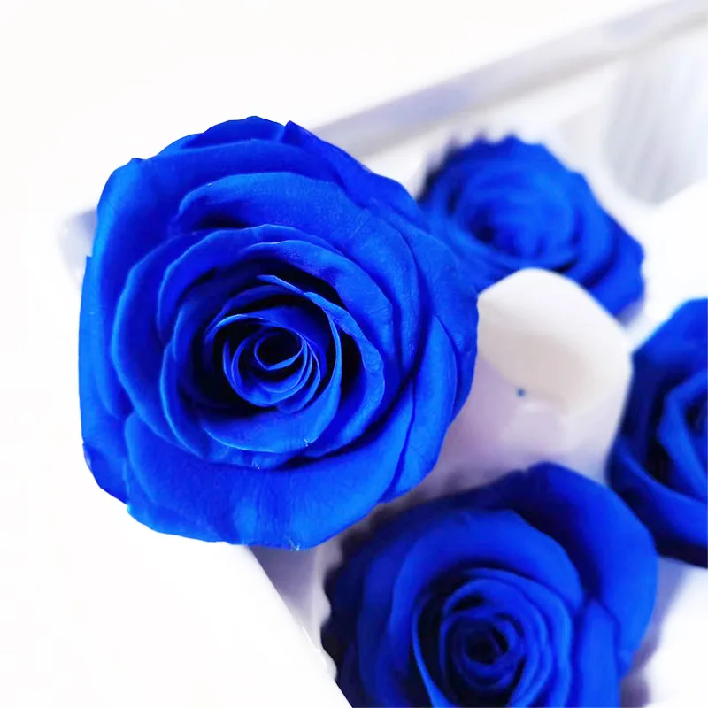 

4-5cm 8PCS/Box Preserved Fresh Rose Flower Eternal Rose Head Birthday Gift DIY Material Bouquet Long Lasting Decoration Mariage