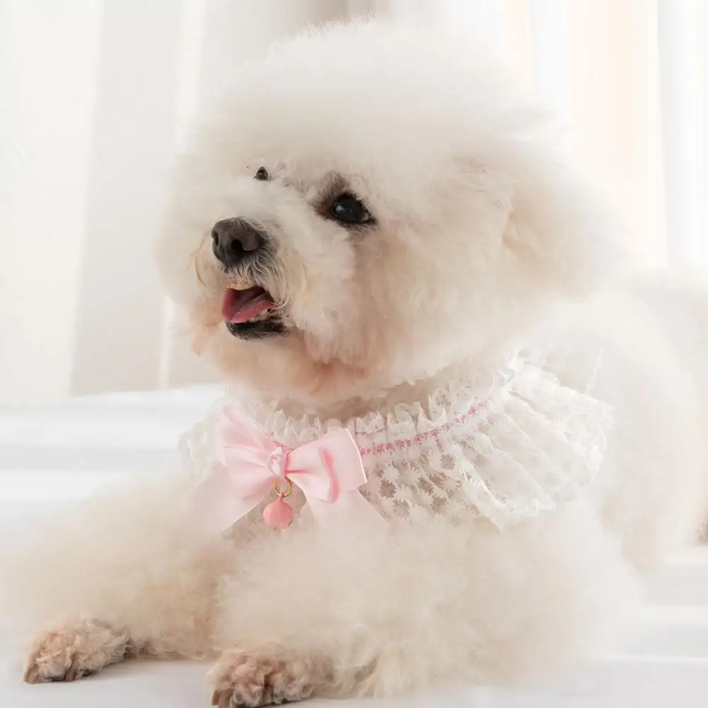 Bow Necklace Fashionable Costume Smell-less Kitten Puppy Collar for Outdoor Bowknot Pet |