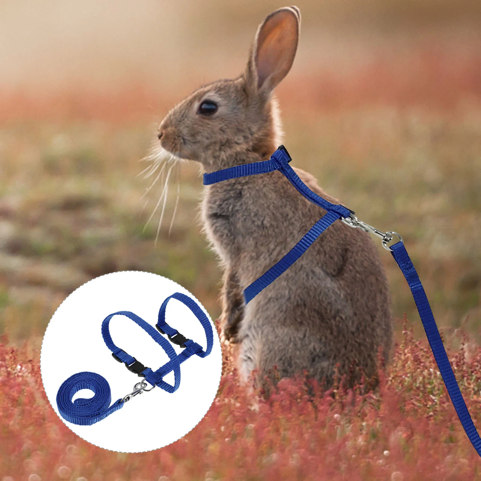 1PC Rabbit Stretchy Leash Harness Leash Small Animals Training Harness Puppy Cat Harness Leash