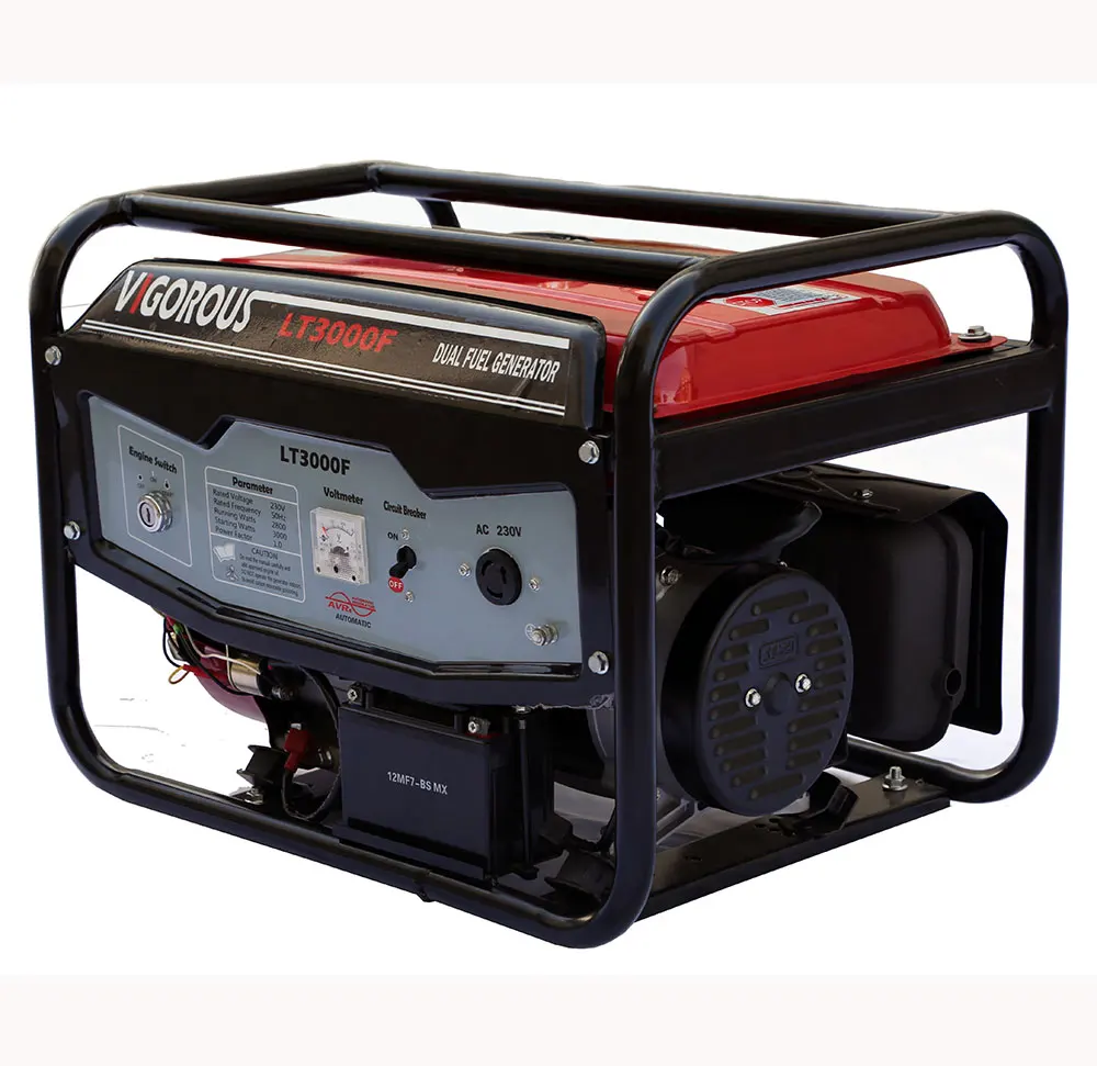 

3000 Watt Single Phase Natural Gas And LPG Gasoline Generator