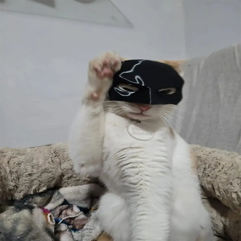 Черная Летучая Мышь Кошка Мститель Полумаска Для Лица Костюм Ручной Работы Кошек