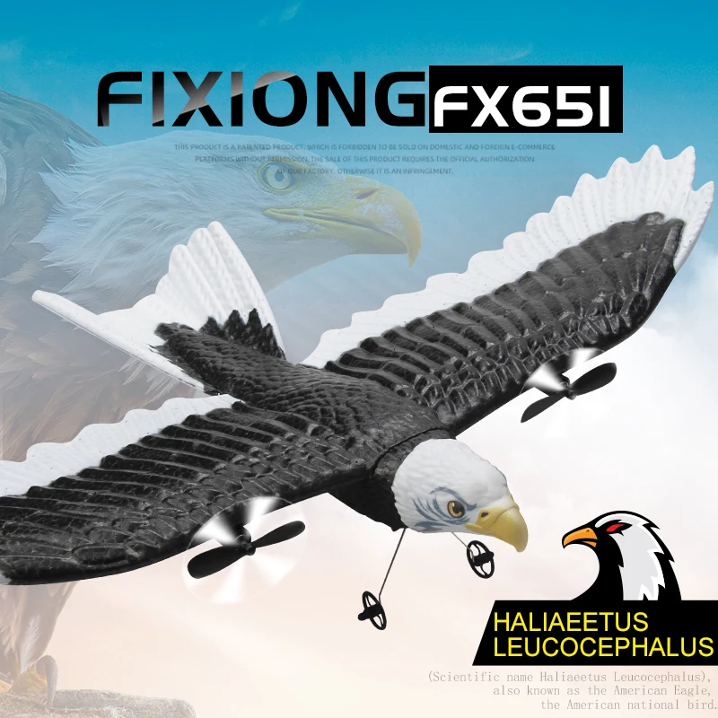 Радиоуправляемый Самолет Eagle Fx651 2 4 Ггц Дистанционная Летающая Модель Размах