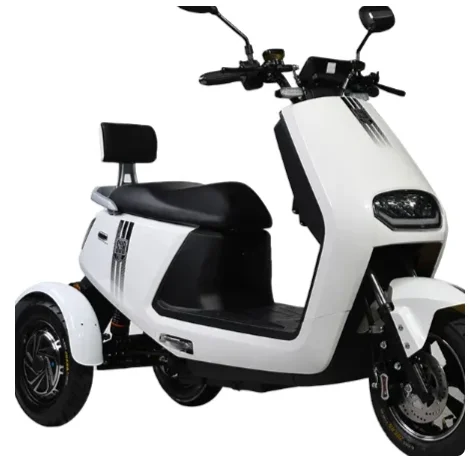

Electric tricycle price difference