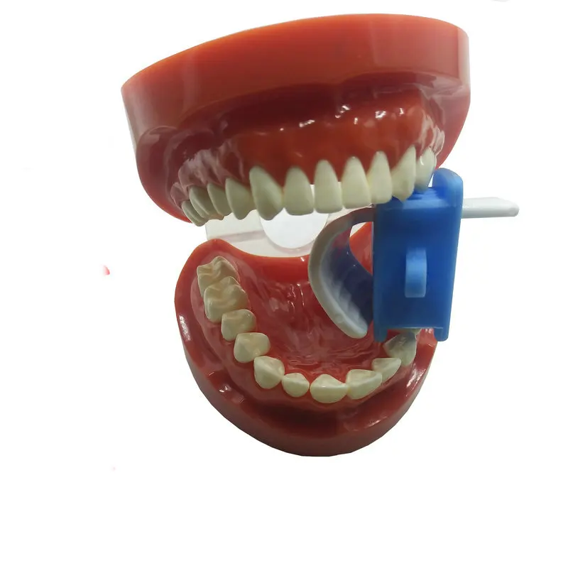 

Tongue Plate Mouth Opener Mouth Scale Mouth Support Mouth Guard Tool Mouth Retractor Tooth Pad Mouth Angle Lip Side Support