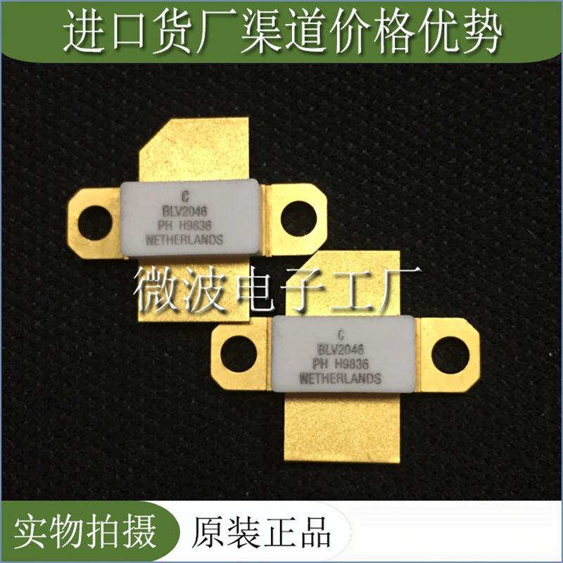 blv2046