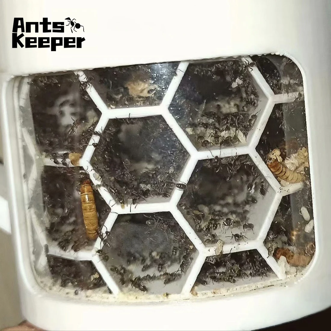 【Honeycomb 2.0】 Расширяемый модульный формариум Лего, ферма муравьев для содержания муравьев с подачей воды и зоной кабины AntHill (art.: 3920d32eac52c) - 3920d32eac52c