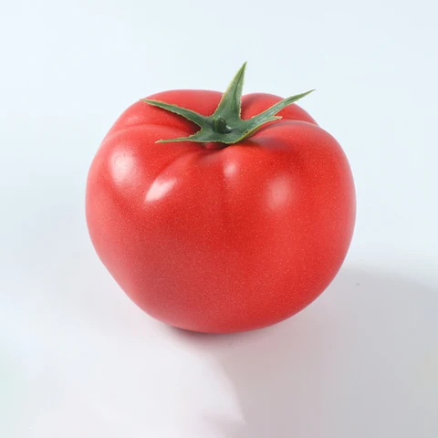 Искусственные помидоры из пенопласта