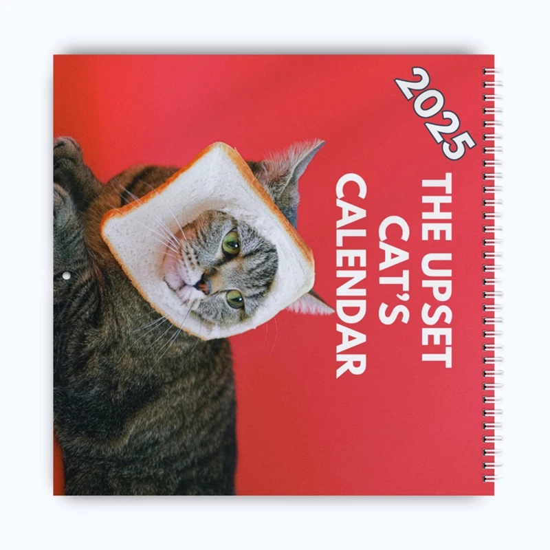 Календарь Upset Cats на 2025 год — очень веселый способ остановить организованный