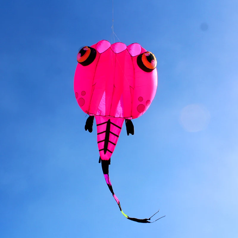 Бесплатная доставка воздушный змей Tadpole уличные игрушки cerf volant professional drachen fliegen