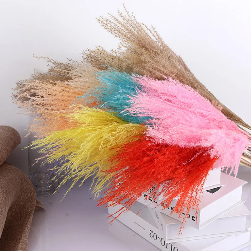 

Сухая парянка, Тростниковое растение, маленькая пампасная трава, нефрагмиты для свадебного украшения, домашний декор, «сделай сам», цветы д...