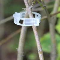 1pcs fastern plant clips buckle hook plastic supports connects reusable holder gardening supplies for vegetable tomato