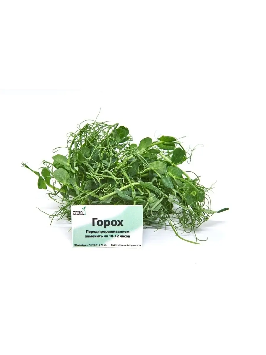 Набор для выращивания микрозелени 5 урожаев &quotMikroGreens" (горох клевер редис