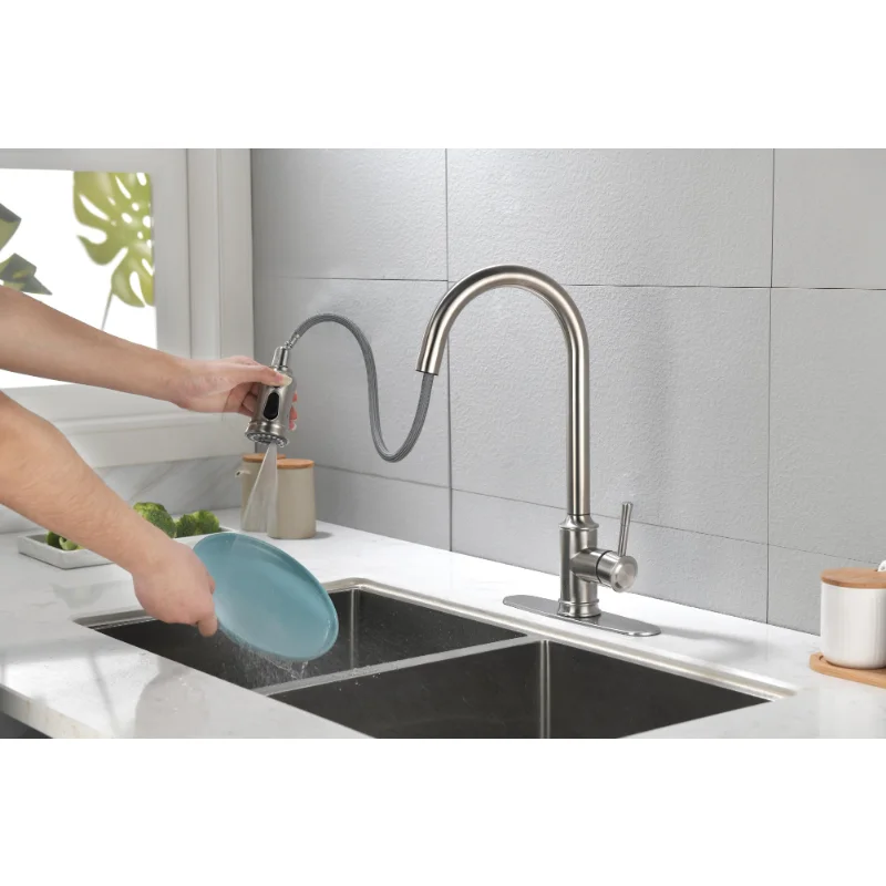 

Single Handle High Arc Pull Out Kitchen Faucet Single-layer Stainless Steel Kitchen Sink Faucet with Pull Down Spray