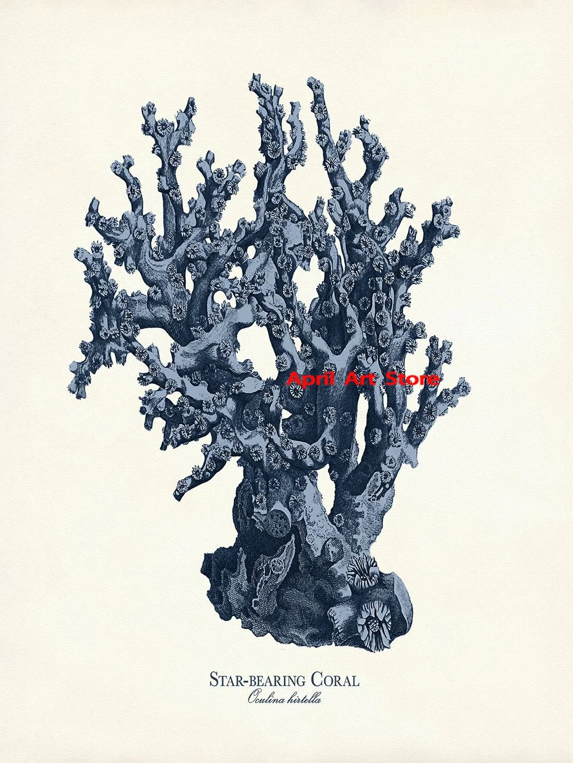 

Винтажные морские настенные принты на холсте